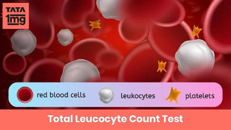 total-leucocyte-count-tlc-purpose-normal-range-of-results-1mg